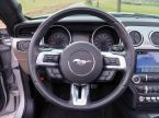 Ford Mustang - fotka číslo 28