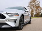 Ford Mustang - fotka číslo 43