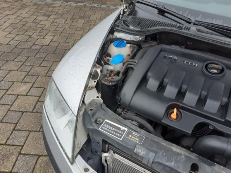 Škoda Octavia - hlavní fotka