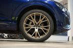 Audi Q8 - fotka číslo 9