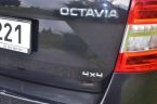 Škoda Octavia - fotka číslo 6
