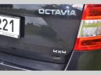 Škoda Octavia - fotka číslo 6