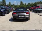 Ford Mustang - fotka číslo 4