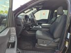 Ford F Series - fotka číslo 8