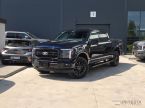 Ford F Series - fotka číslo 11