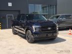 Ford F Series - fotka číslo 13
