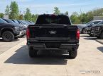 Ford F Series - fotka číslo 14