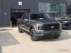 Ford F Series - fotka číslo 1