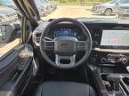 Ford F Series - fotka číslo 20