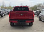 Ford F Series - fotka číslo 25