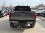 Ford F Series - fotka číslo 2