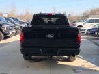 Ford F Series - fotka číslo 3