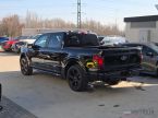 Ford F Series - fotka číslo 4