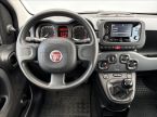 Fiat Panda - fotka číslo 6