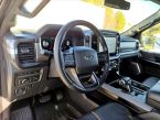Ford F Series - fotka číslo 13