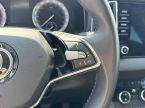 Škoda Karoq - fotka číslo 14
