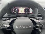 Škoda Karoq - fotka číslo 18