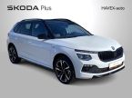 Škoda Kamiq - fotka číslo 31