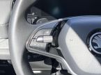 Škoda Kodiaq - fotka číslo 14