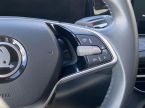 Škoda Kodiaq - fotka číslo 15