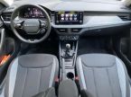 Škoda Kamiq - fotka číslo 4
