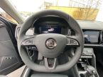 Škoda Kodiaq - fotka číslo 10