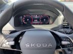 Škoda Karoq - fotka číslo 10