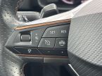 Cupra Formentor - fotka číslo 18