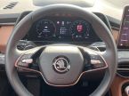 Škoda Kodiaq - fotka číslo 5