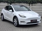 Tesla Model Y - fotka číslo 0