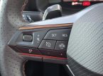 Cupra Formentor - fotka číslo 18