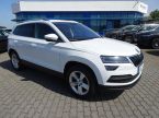 Škoda Karoq - fotka číslo 0