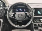 Škoda Karoq - fotka číslo 10