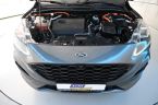 Ford Kuga - fotka číslo 35