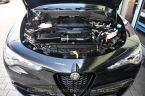 Alfa Romeo Stelvio - fotka číslo 44