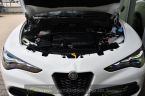 Alfa Romeo Stelvio - fotka číslo 46