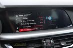 Alfa Romeo Stelvio - fotka číslo 33