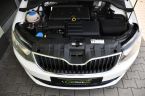 Škoda Fabia - fotka číslo 22