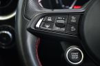 Alfa Romeo Stelvio - fotka číslo 22