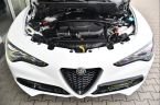 Alfa Romeo Stelvio - fotka číslo 40