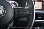 Alfa Romeo Stelvio - fotka číslo 29