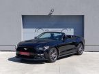 Ford Mustang - fotka číslo 0