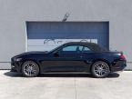 Ford Mustang - fotka číslo 8