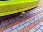 Škoda Superb - fotka číslo 12