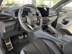 Cupra Terramar - fotka číslo 10