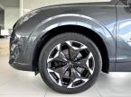 Cupra Terramar - fotka číslo 35