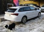 Škoda Octavia - fotka číslo 10