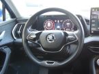 Škoda Kodiaq - fotka číslo 16