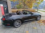 Ford Mustang - fotka číslo 30