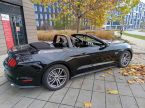 Ford Mustang - fotka číslo 30